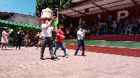Boletines